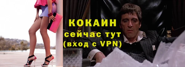 стаф Балахна