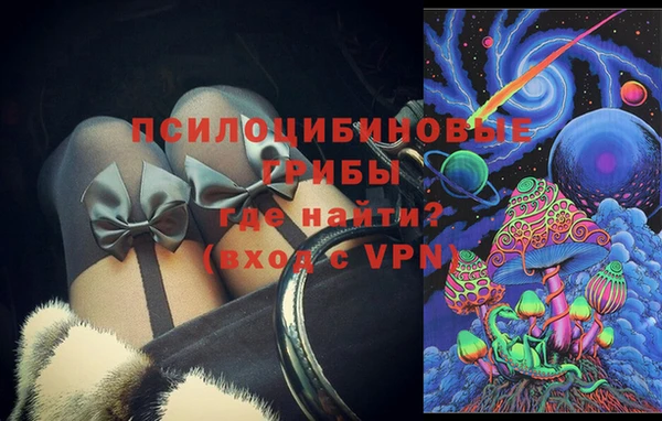 ALPHA-PVP Няндома